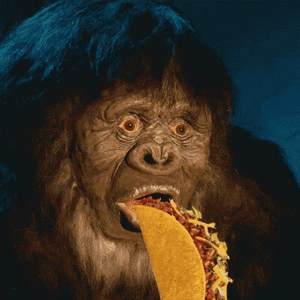 bigfoot-taco.gif bigfoot-taco.gif