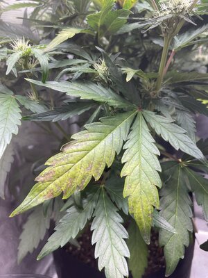 foto_no_exif(1).jpg foto_no_exif(1).jpg