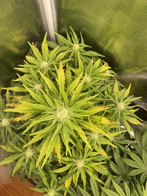 foto_no_exif(2).jpg foto_no_exif(2).jpg