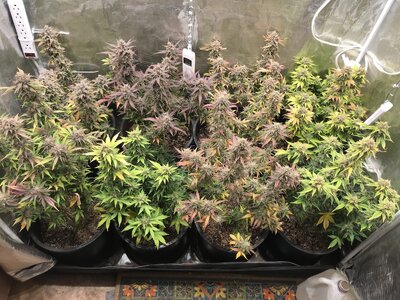 03.20.23_week10-angle1.jpg 03.20.23_week10-angle1.jpg