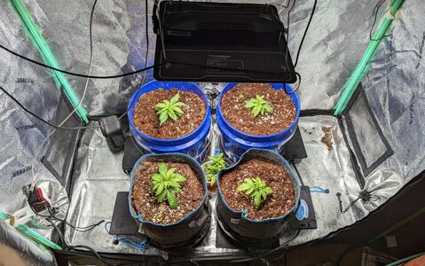 PXL_20230325_104819097.MP.jpg PXL_20230325_104819097.MP.jpg