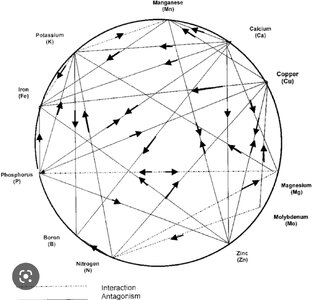 Screenshot_20230103_002410_Google.jpg Screenshot_20230103_002410_Google.jpg