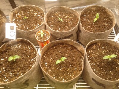 20230401_235757.jpg 20230401_235757.jpg