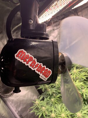 41EE7283-41B0-4D2D-B943-A0E57CB422F4.jpeg 41EE7283-41B0-4D2D-B943-A0E57CB422F4.jpeg