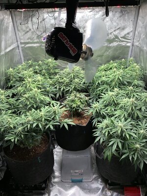 C2DDA11B-0D0A-4FC4-A35F-A943FD9F28BD.jpeg C2DDA11B-0D0A-4FC4-A35F-A943FD9F28BD.jpeg