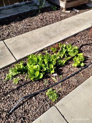 IMG_20230414_100032995_HDR.jpg IMG_20230414_100032995_HDR.jpg