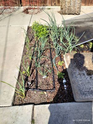 IMG_20230414_100028674_HDR.jpg IMG_20230414_100028674_HDR.jpg