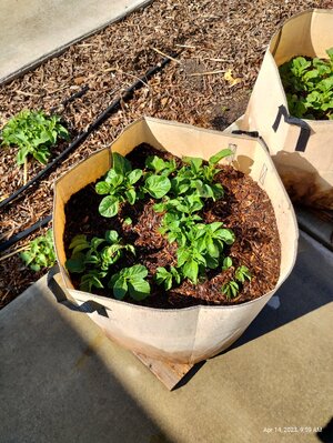 IMG_20230414_095954418_HDR.jpg IMG_20230414_095954418_HDR.jpg