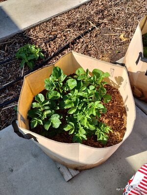 IMG_20230414_094110219_HDR.jpg IMG_20230414_094110219_HDR.jpg