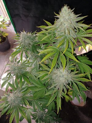 20230416_161257.jpg 20230416_161257.jpg