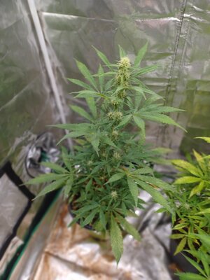 20230416_161429.jpg 20230416_161429.jpg