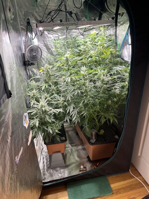 802368AF-67FB-4015-8707-3406DDECBA67.JPG 802368AF-67FB-4015-8707-3406DDECBA67.JPG