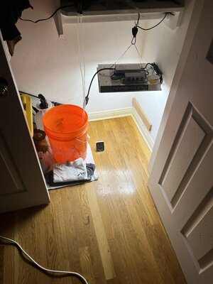 F11B171F-A1A4-49E4-8D62-2A479FF8DD3B.JPG F11B171F-A1A4-49E4-8D62-2A479FF8DD3B.JPG