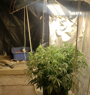 WTF.3_day59_300w.jpg WTF.3_day59_300w.jpg