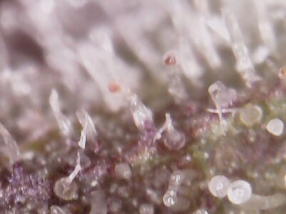 20230429_163422.jpg 20230429_163422.jpg