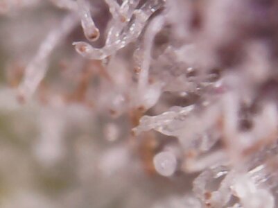 20230429_163434.jpg 20230429_163434.jpg