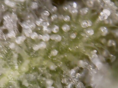 20230429_163408.jpg 20230429_163408.jpg