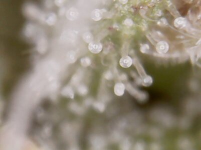 20230429_163356.jpg 20230429_163356.jpg