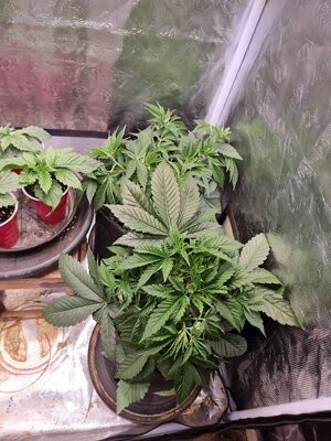 20230502_100821.jpg 20230502_100821.jpg