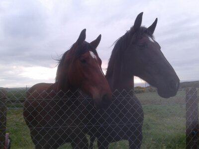 20230505_195153.jpg 20230505_195153.jpg