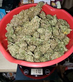 20230507_222956.jpg 20230507_222956.jpg