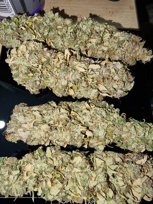 20230507_222843.jpg 20230507_222843.jpg