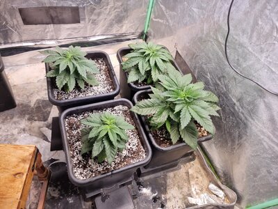 20230510_175934.jpg 20230510_175934.jpg