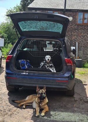 IMG-20230516-WA0000.jpg IMG-20230516-WA0000.jpg