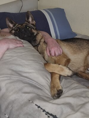 20230517_082801.jpg 20230517_082801.jpg