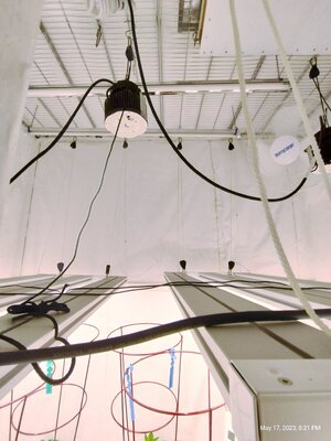 IMG_20230517_202111546_HDR_inPixio.jpg IMG_20230517_202111546_HDR_inPixio.jpg