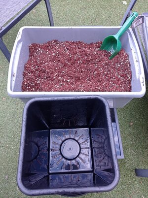 Grow 04 Week 0b.jpg Grow 04 Week 0b.jpg