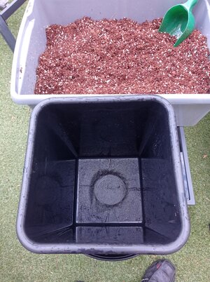 Grow 04 Week 0c.jpg Grow 04 Week 0c.jpg