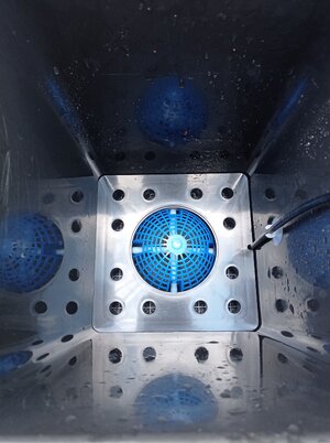 Grow 04 Week 0d.jpg Grow 04 Week 0d.jpg