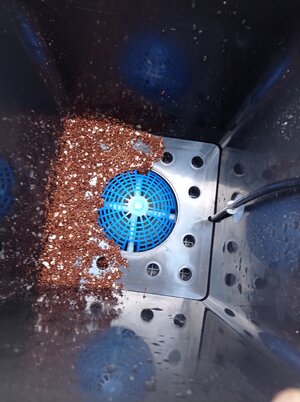 Grow 04 Week 0e.jpg Grow 04 Week 0e.jpg