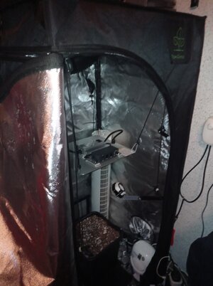 Grow 04 Week 0h.jpg Grow 04 Week 0h.jpg