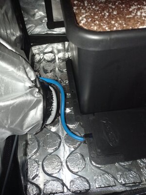 Grow 04 Week 0i.jpg Grow 04 Week 0i.jpg