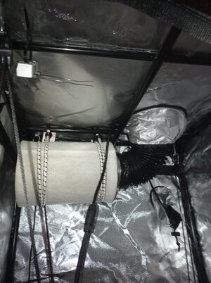 Grow 04 Week 0k.jpg Grow 04 Week 0k.jpg