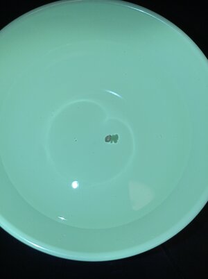 Grow 04 Week 0n.jpg Grow 04 Week 0n.jpg