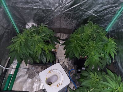 20230525_135647.jpg 20230525_135647.jpg