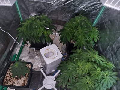 20230525_135556.jpg 20230525_135556.jpg