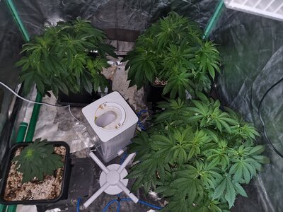 20230525_135641.jpg 20230525_135641.jpg