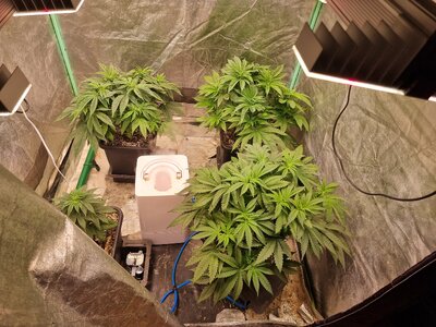 20230527_171033.jpg 20230527_171033.jpg