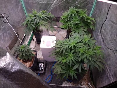 20230527_171107.jpg 20230527_171107.jpg