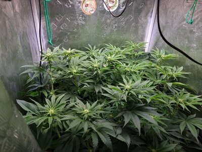 20230529_222307.jpg 20230529_222307.jpg