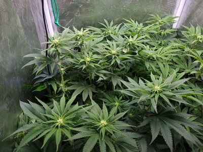 20230529_222301.jpg 20230529_222301.jpg