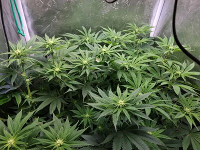 20230529_222255.jpg 20230529_222255.jpg