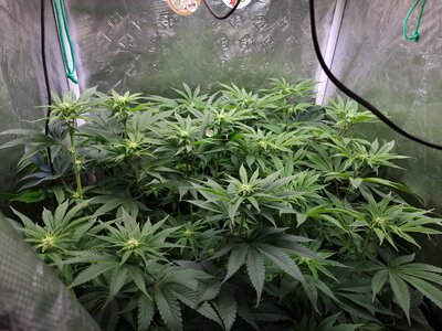 20230529_222253.jpg 20230529_222253.jpg