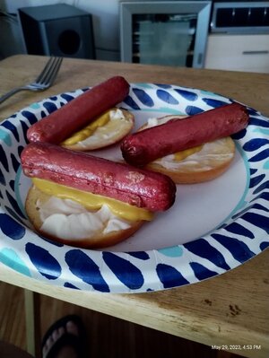 IMG_20230529_165329322.jpg IMG_20230529_165329322.jpg