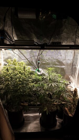 20230601_195612.jpg 20230601_195612.jpg