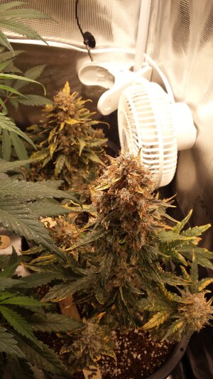 20230601_195720.jpg 20230601_195720.jpg